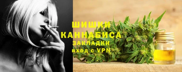 хмурый Абаза