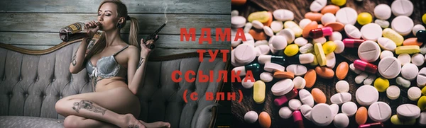 хмурый Абаза