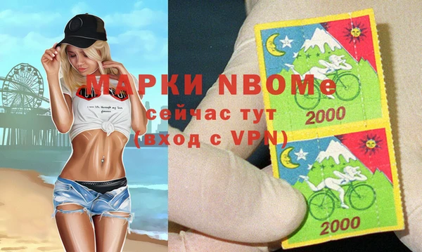 хмурый Абаза