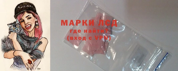 хмурый Абаза