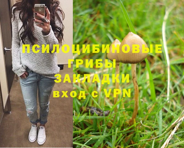 хмурый Абаза