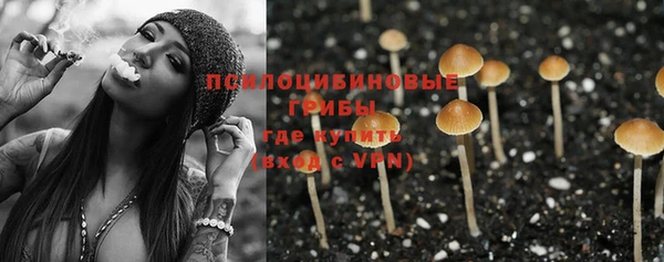 хмурый Абаза